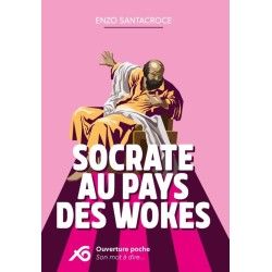 Socrate au pays des wokes